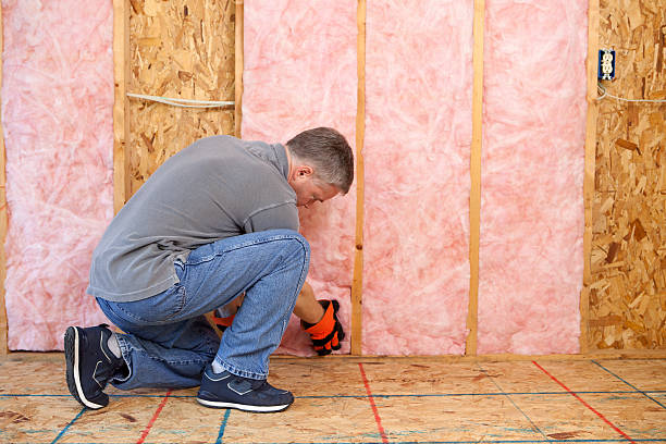 Insulation Replacement Services in Minor, AL