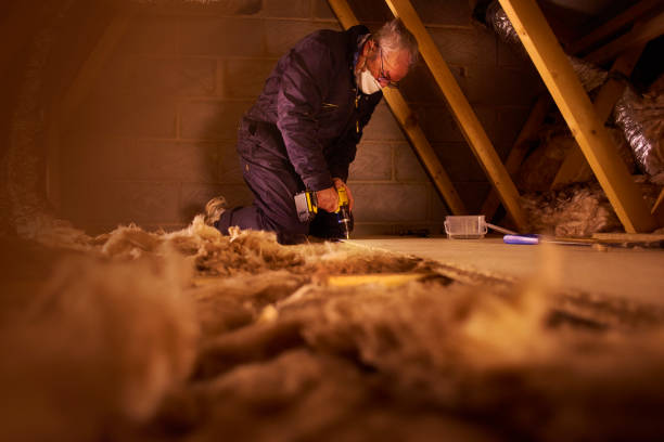 Insulation Contractors for Homes in Minor, AL